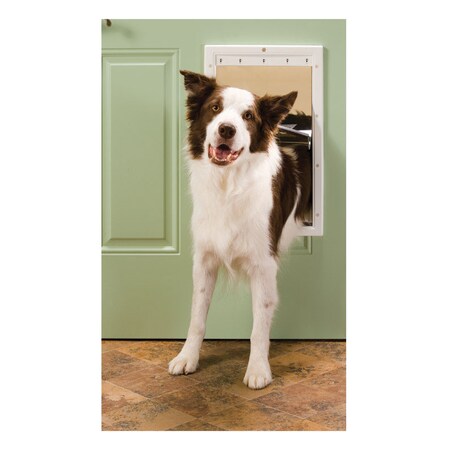 Pet Safe Pet Door Plst Lrg PPA00-10960
